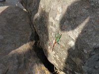 Marion, Romane South Africa 2014 (54 of 80) : Blyde canyion 3 rondavels, Marion visit